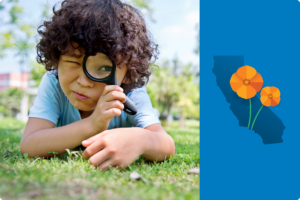 Exploring Transitional Kindergarten Curriculum for California